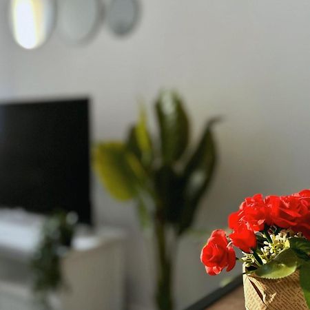 Cosy Palm Beach, Studio Pres De La Mer Et De La Croisette Cannes Buitenkant foto