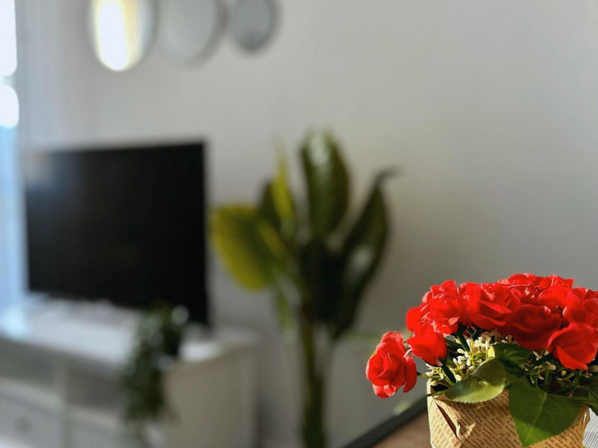 Cosy Palm Beach, Studio Pres De La Mer Et De La Croisette Cannes Buitenkant foto